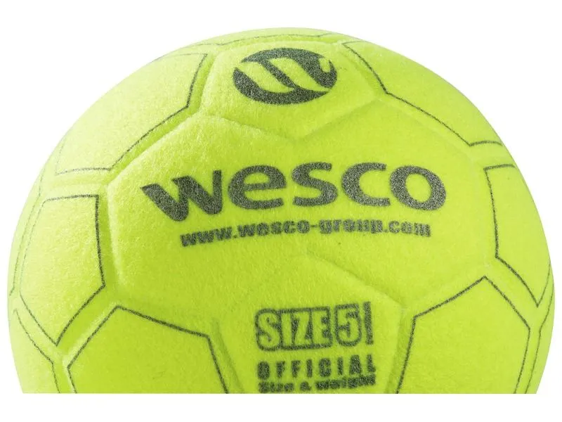 BALLON DE FOOTBALL En salle Taille 5