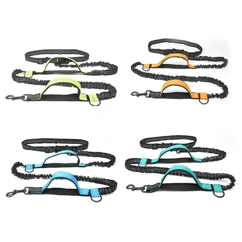 Laisse ceinture chien