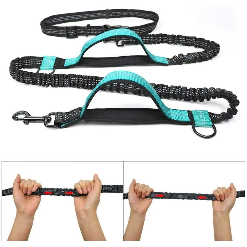 Laisse ceinture chien