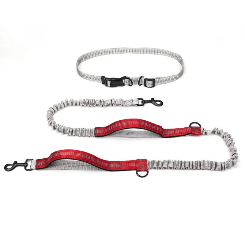 Laisse ceinture chien