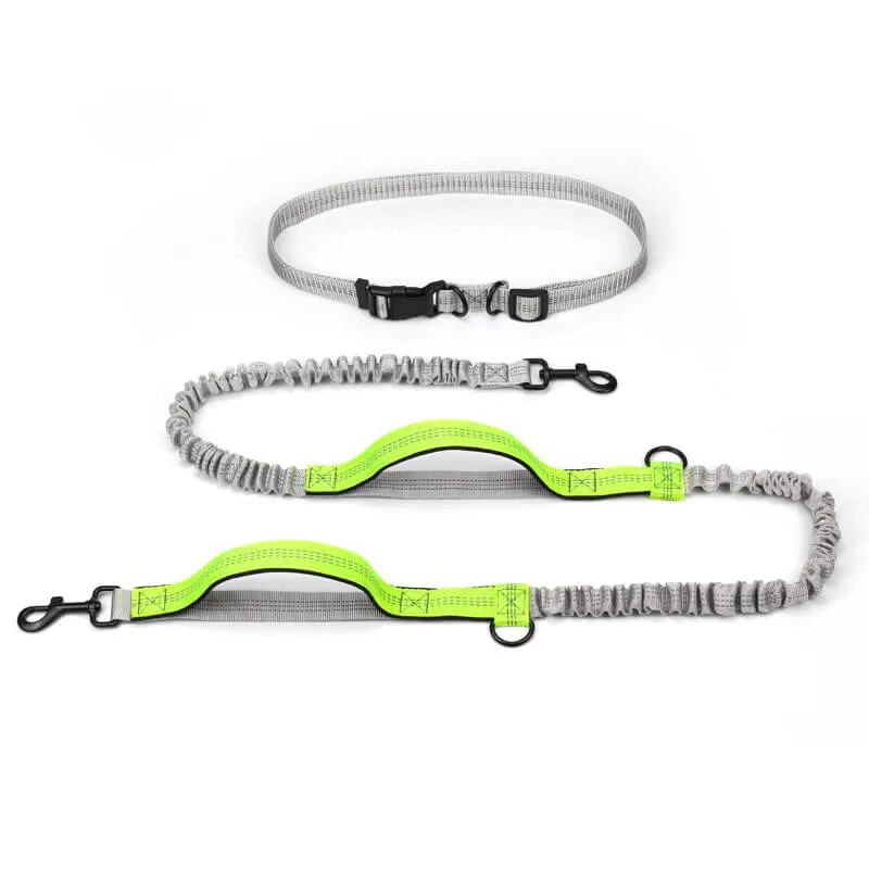 Laisse ceinture chien