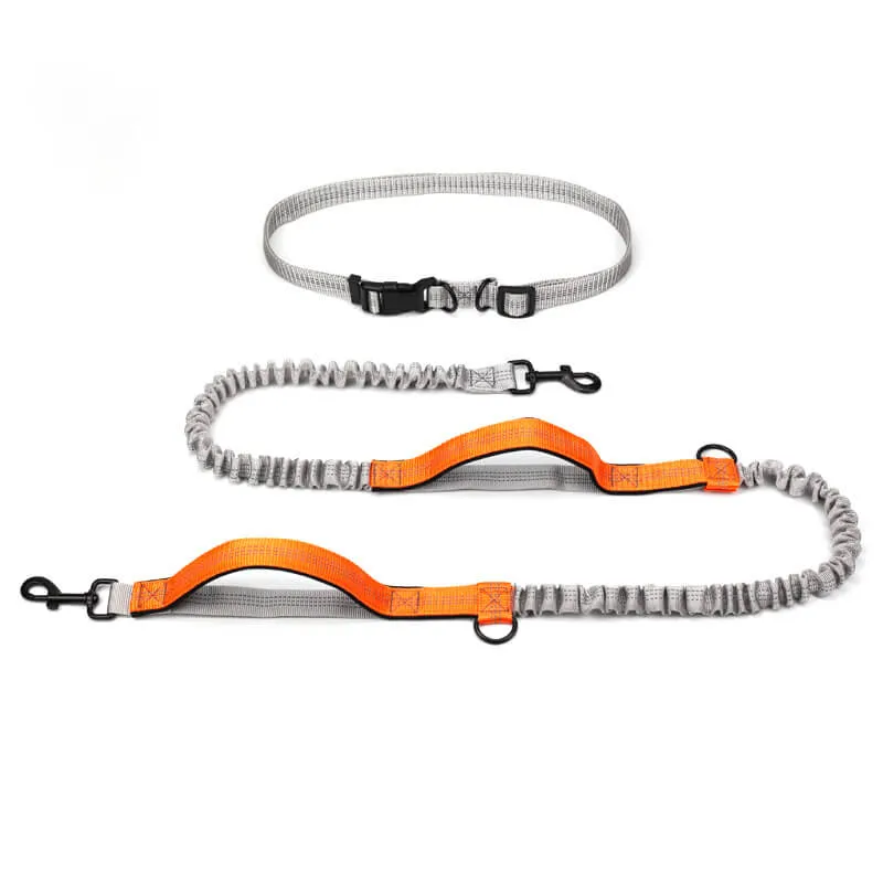 Laisse ceinture chien