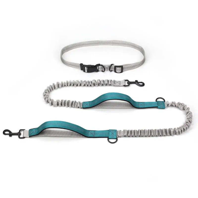 Laisse ceinture chien