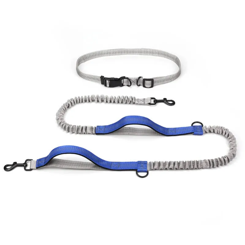 Laisse ceinture chien